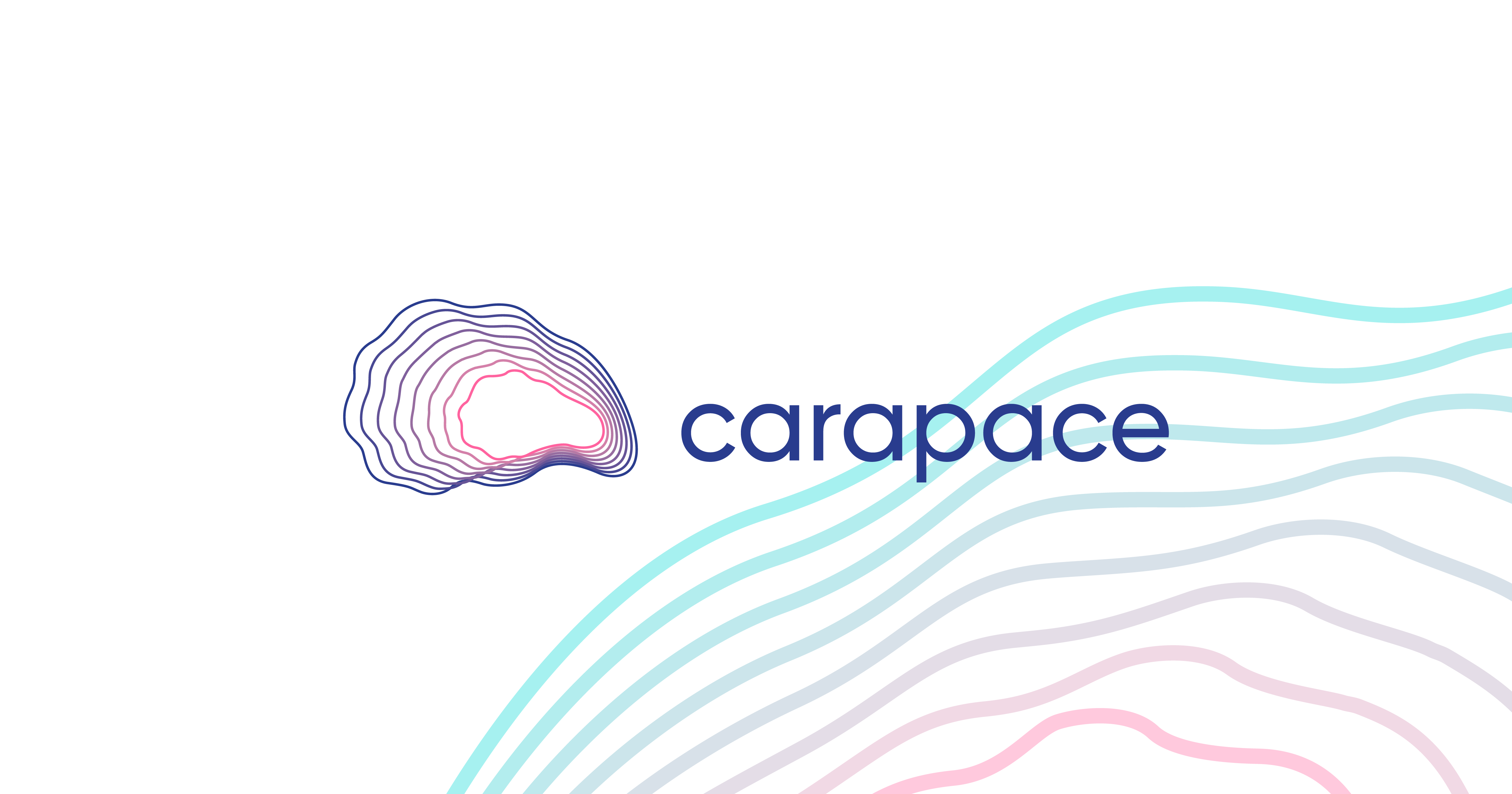 Carapace Logo